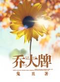 乔大牌百度txt云资源