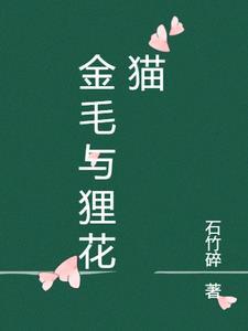 狸花猫和金渐层的区别