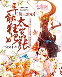 傻王的异能宠妃