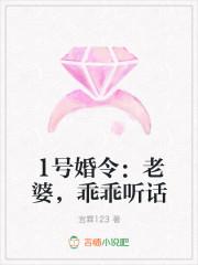 1号婚宠大牌老公请稍息免费阅读