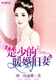 楚少的宠妻指南全集免费阅读