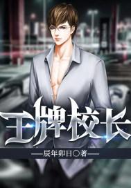 大风起兮书籍