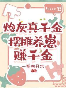 少帅免费阅读