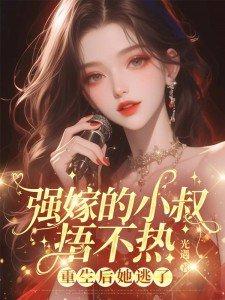 霹雳布袋戏剑雪无名