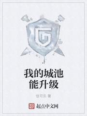 我的城池能升级