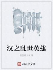汉之乱世英雄