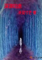 妃子怨讲的什么