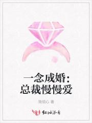 一念成婚：总裁慢慢爱